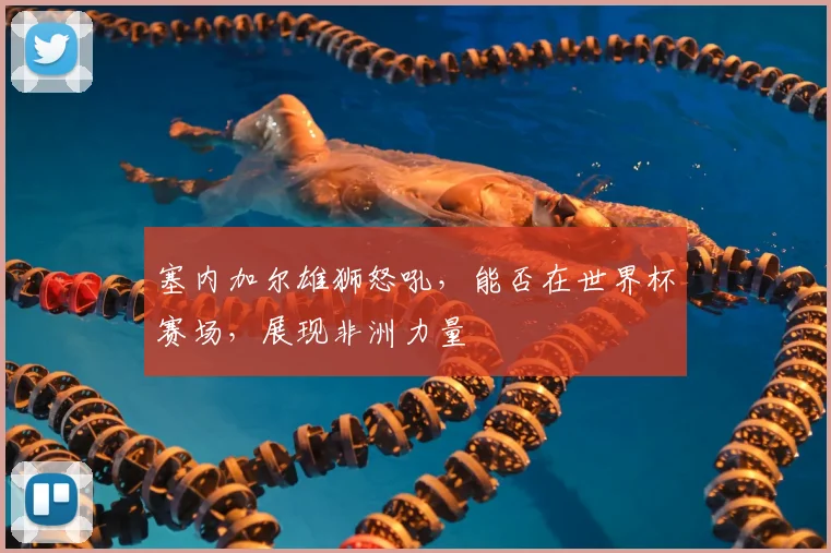 塞内加尔雄狮怒吼，能否在世界杯赛场，展现非洲力量
