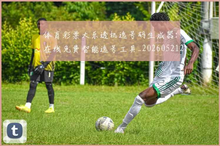 体育彩票大乐透机选号码生成器:在线免费智能选号工具_20260521201013